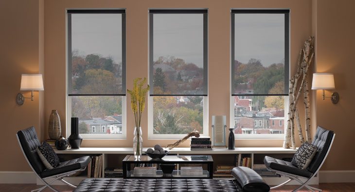 Interior Roller Shades