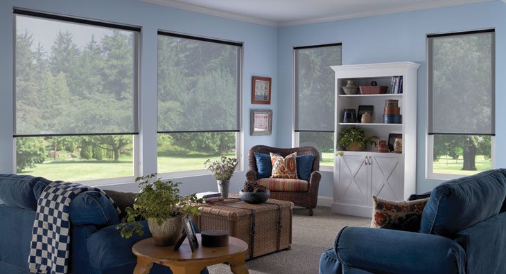 4" Interior Roller Shade