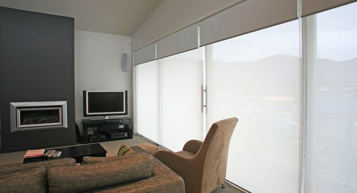 Duo Roller Shade